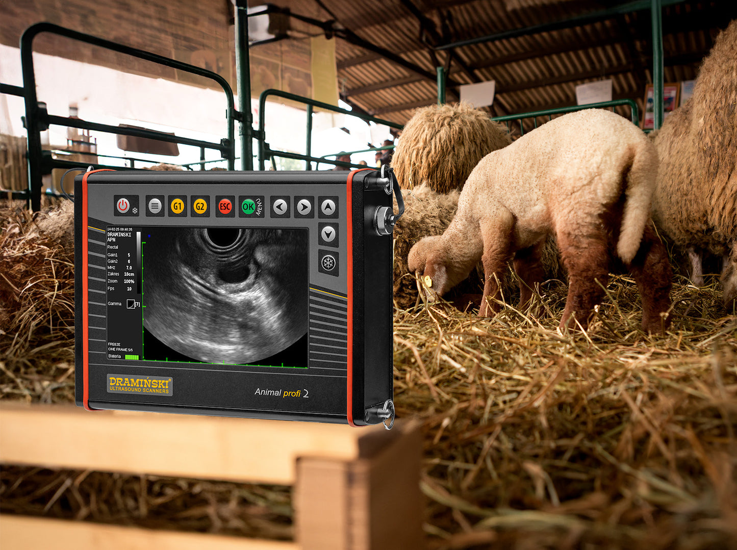 Ultrazvočni skener Animal profi 2 za živino